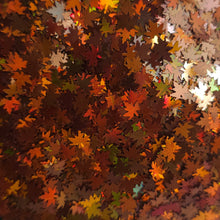 Load image into Gallery viewer, Orange Maple Leaves
